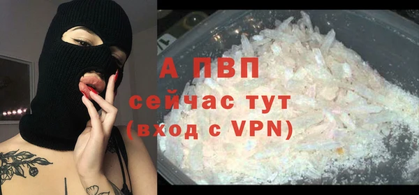 мдпв Бородино