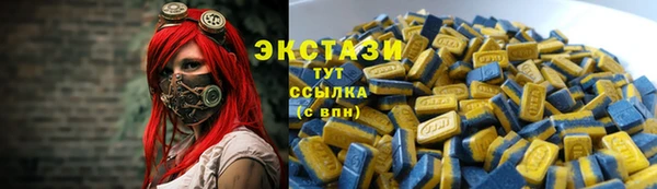 мдпв Бородино