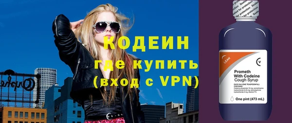 мдпв Бородино
