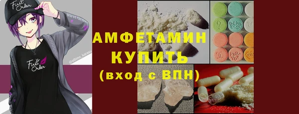 мдпв Бородино
