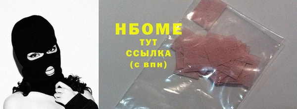 мдпв Бородино