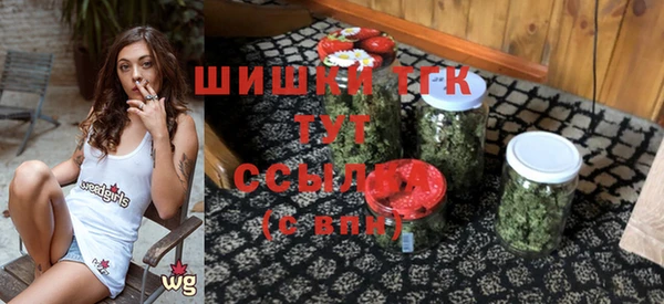 мдпв Бородино