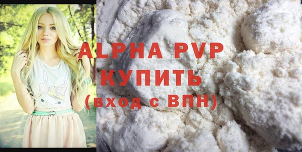 мдпв Бородино