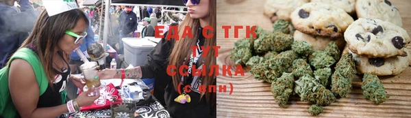 мдпв Бородино