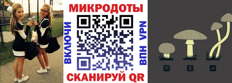 KRAKEN зеркало Чита Псилоцибиновые грибы мицелий